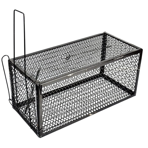 img-placeholder